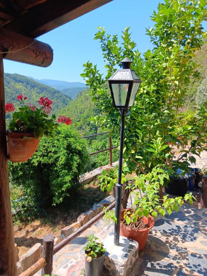 Ceira Chalet *